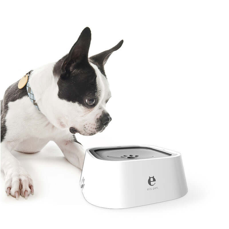 Perro curioso inspeccionando el Anti Spill Pet Water Bowl, diseño anti derrame para mantener el agua limpia.