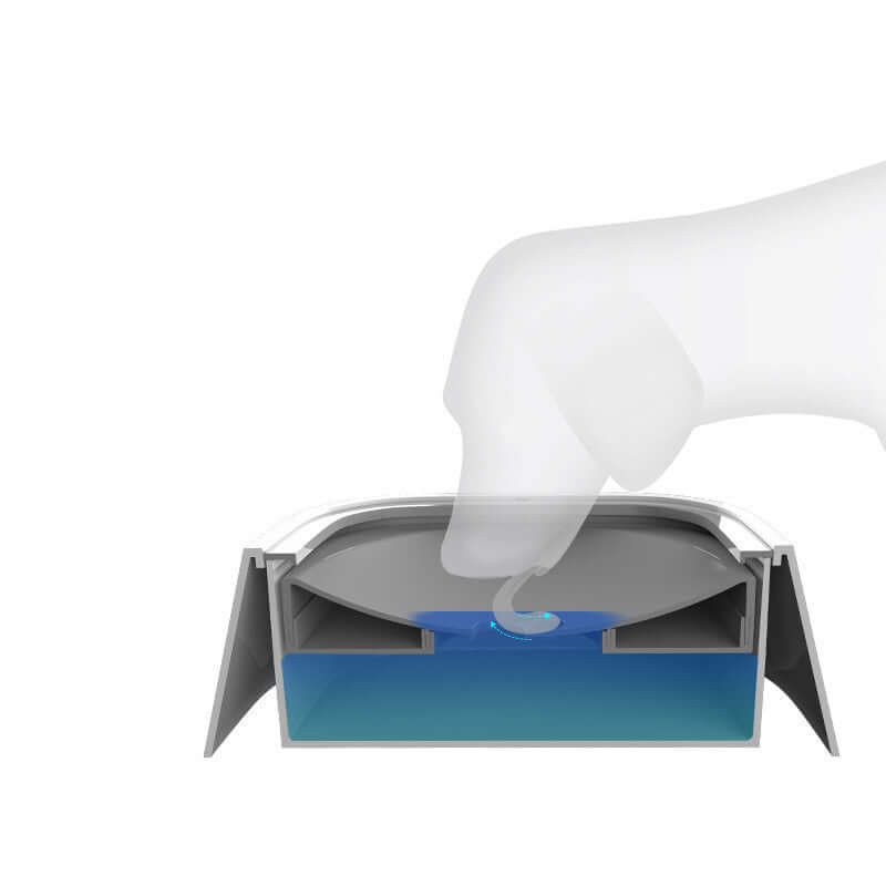 Perro curioso inspeccionando el Anti Spill Pet Water Bowl, diseño anti derrame para mantener el agua limpia.