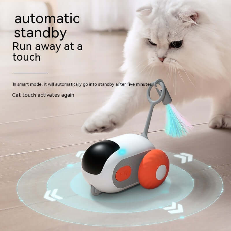 Interactive cat car toy for indoor play