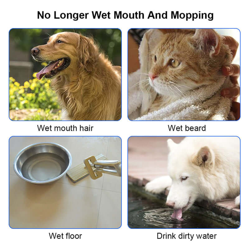 Perro curioso inspeccionando el Anti Spill Pet Water Bowl, diseño anti derrame para mantener el agua limpia.