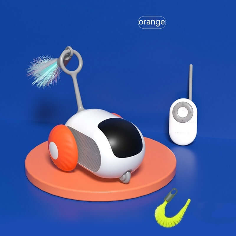 Interactive cat car toy for indoor play