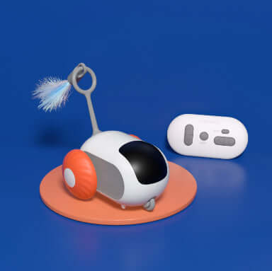 Interactive cat car toy for indoor play