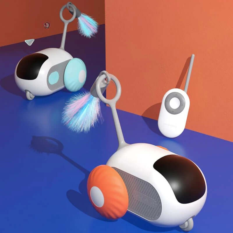 Interactive cat car toy for indoor play