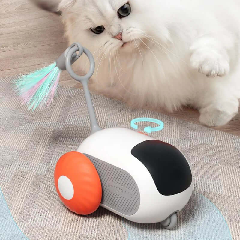 Gato curioso interactuando con un juguete de control remoto, Interactive Cat Car Toy, en una alfombra.