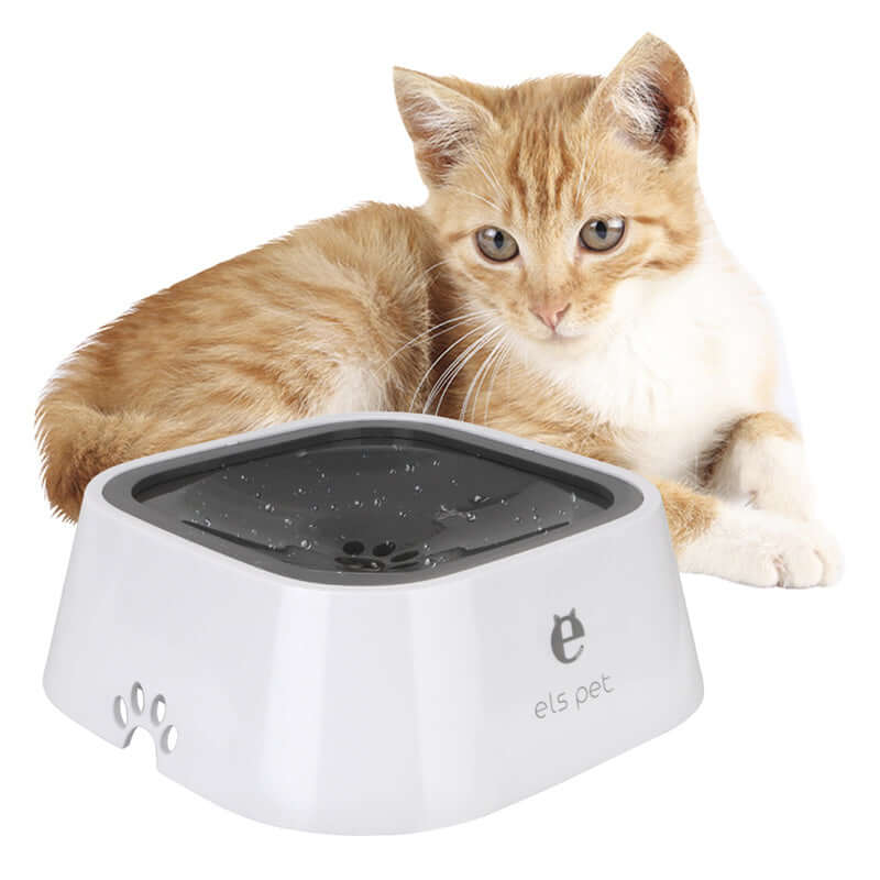 Perro curioso inspeccionando el Anti Spill Pet Water Bowl, diseño anti derrame para mantener el agua limpia.