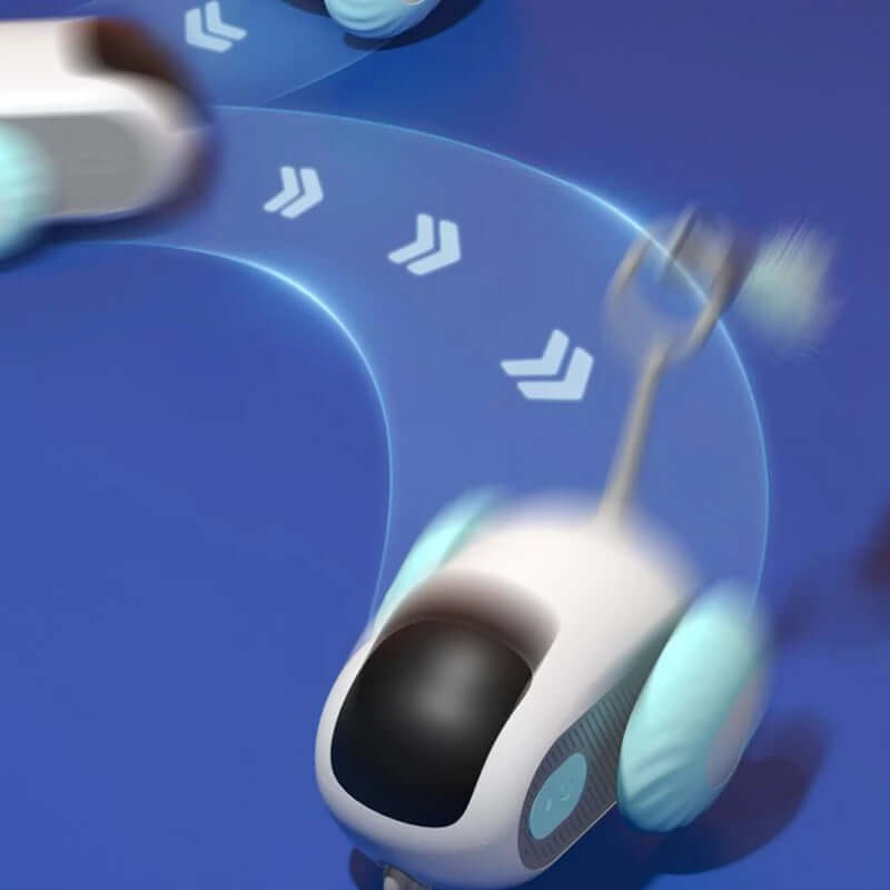 Interactive cat car toy for indoor play