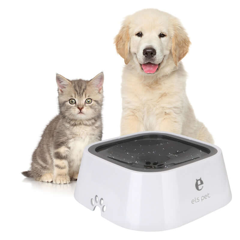 Perro curioso inspeccionando el Anti Spill Pet Water Bowl, diseño anti derrame para mantener el agua limpia.