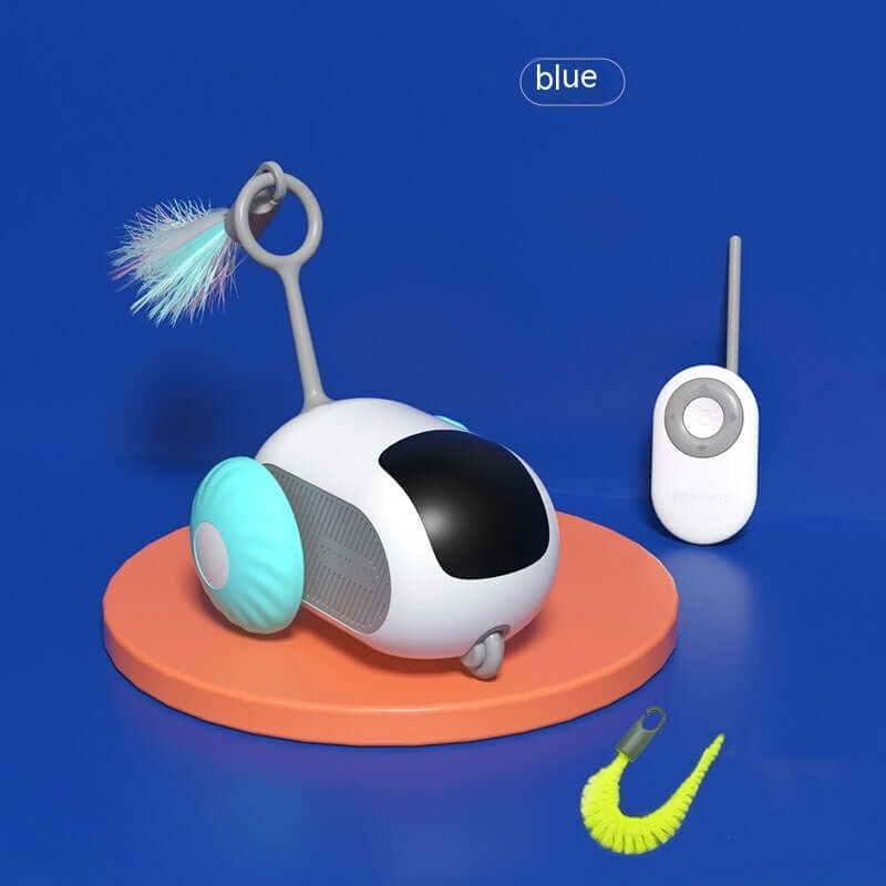 Interactive cat car toy for indoor play