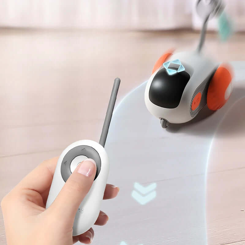 Interactive cat car toy for indoor play