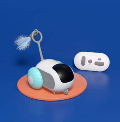 Interactive cat car toy for indoor play