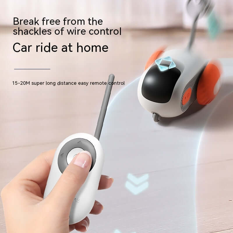 Interactive cat car toy for indoor play