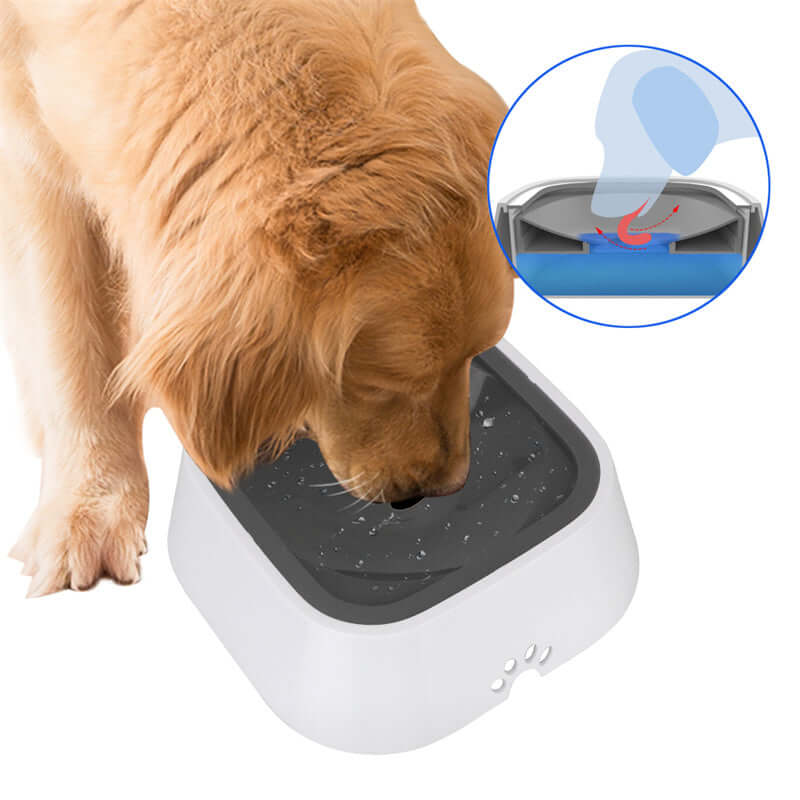Perro curioso inspeccionando el Anti Spill Pet Water Bowl, diseño anti derrame para mantener el agua limpia.