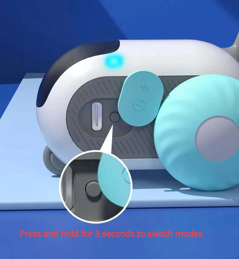 Interactive cat car toy for indoor play